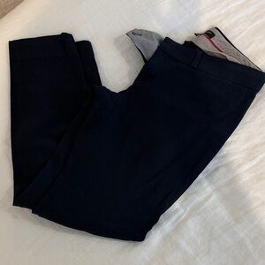 Banana Republic Navy Trousers